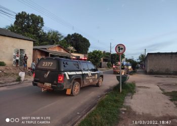 Foto: Thaís Portela