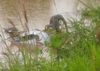 Medicilândia: Acidente na BR-230 deixa uma criança morta; vídeo