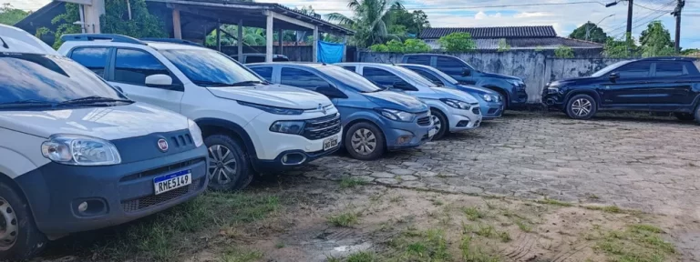 Foto: Polícia Civil/Divulgação