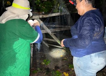 Foto: Divulgação/ Ascom da SMS Vitória do Xingu