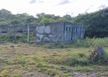 Crédito: Divulgação