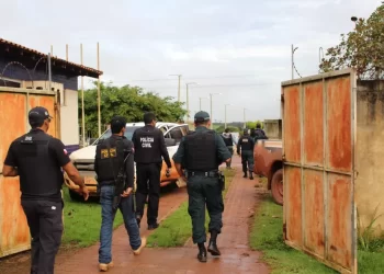 Foto: Polícia Civil/Divulgação