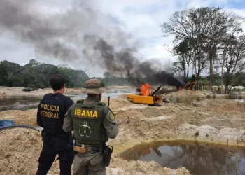 Operação conjunta destruiu vários maquinários — Foto: Reprodução / Polícia Federal