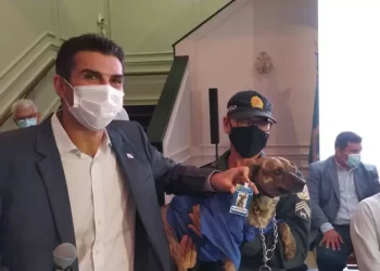 Emanuele Corrêa / O Liberal