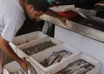 Sidney Oliveira / O Liberal