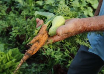 Foto: Tânia Rêgo/ Agência Brasil