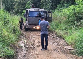 SEMMA realiza apreensão de madeira em Altamira