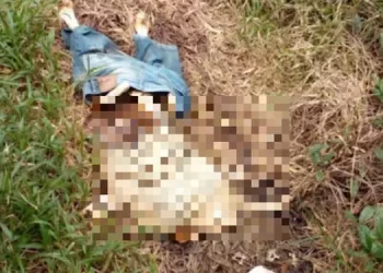 Foto: Reprodução/ Debate Carajás