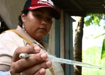 Foto: Cláudio Pinheiro / O Liberal