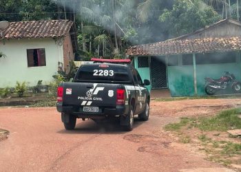 Foto: Agência Pará