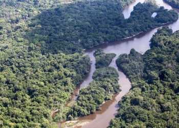 Altamira: PF realiza operação junto com Força Nacional para proteger indígenas no sudoeste do Pará