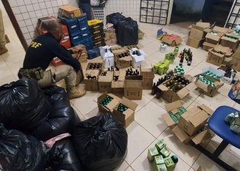 Foto: Divulgação - PRF/PA