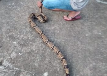 Foto: Reprodução das Redes Sociais