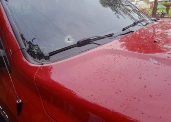 Urgente: Comprador de cacau sofre tentativa de homicídio em Altamira