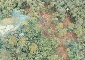 Foto: Reprodução/TV Tapajós