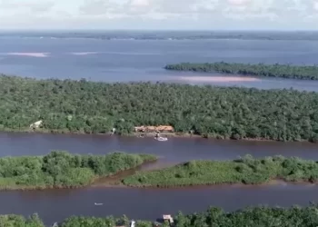 Localidade de Cacoal, em Cametá. — Foto: Bruno Veiga/Prefeitura de Cametá