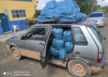 Crédito: Reprodução/PRF