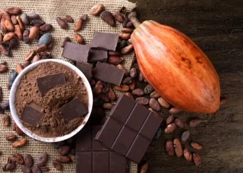 Altamira vai sediar o 1º Festival Internacional do Chocolate e Cacau da Transamazônica
