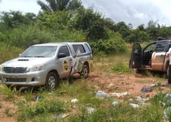 Uruará: Corpo é encontrado sem os olhos às margens da Transamazônica