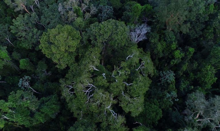 Foto: Divulgação/ TV Brasil