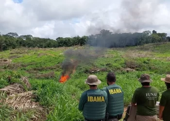 Foto: Reprodução/PF