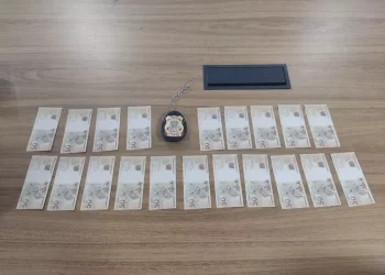 Notas falsas estavam em correspondência com destino a Marabá. — Foto: PF/PA