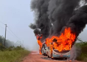 Foto: TV Liberal/Reprodução
