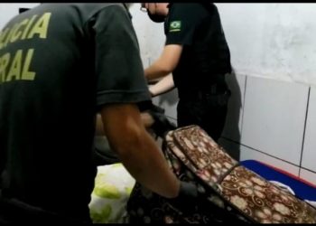 Polícia Federal deflagra a Operação LÂMIA