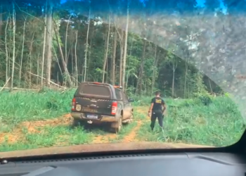 PF resgata homem de trabalho escravo em Pacajá, no Pará
