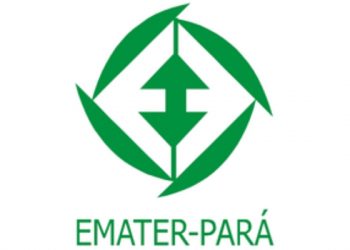 Emater abre inscrições para vagas remanescentes em Processo Seletivo Simplificado