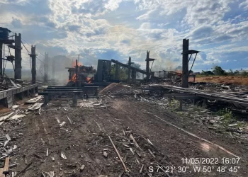 Operação no município de Bannach, no sudeste do Pará — Foto: Divulgação/PF