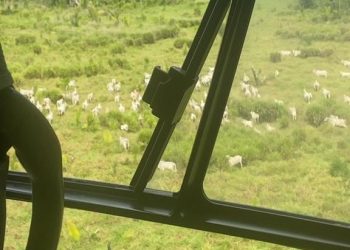 Foto: Divulgação PF