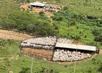 Foto: Divulgação PF