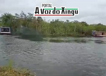 Fenômeno das ‘ilhas flutuantes’ volta a assustar ribeirinhos, desta vez em Porto de Moz