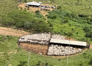 Foto: Reprodução/PF