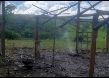 Foto: Reprodução vídeo Whatsapp