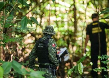 Crédito: Agência Pará