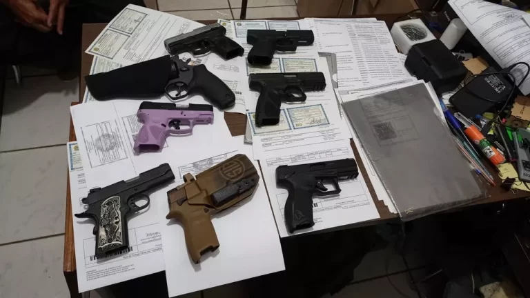 Armas e documentos foram apreendidos pela PF em operação nesta quarta (25) no Pará — Foto: PF/Divulgação