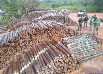 Foto: Reprodução/Ibama