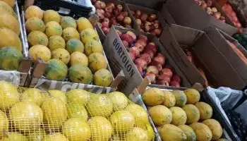 Foto: Divulgação Agência Pará