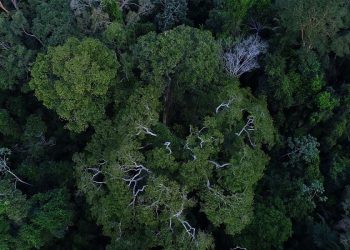 Foto: Ilustrativa / Agência Brasil