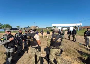 Foto: Reprodução / PF-PA