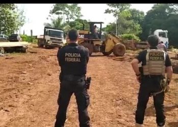 Altamira: Polícia Federal, Ibama e Ministério Público do Trabalho realizam ação conjunta na região da Transamazônica