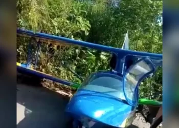 Ultraleve caiu na Vila do Trevo, na PA-127, em Igarapé-Açú (Reprodução/ Redes Sociais)