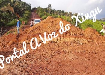 Exclusivo: Rodovia Transamazônica está interditada entre Placas e Rurópolis, no Pará