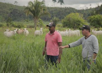 R$ 25 milhões para aumentar a sustentabilidade da agricultura familiar na Transamazônica