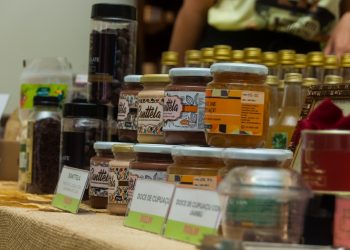 Semana do Meio Ambiente: prefeitura realiza Concerto Ambiental para discutir novas ações sustentáveis para Altamira e região