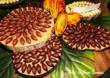 Foto: Wilson Soares / A Voz do Xingu