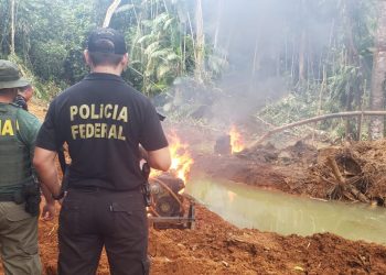 Os equipamentos foram destruídos e o homem suspeito de ser responsável pela área foi preso (Ascom / Polícia Federal)