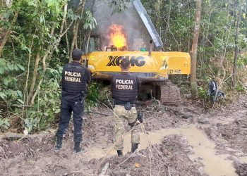 Foto: Divulgação/PF